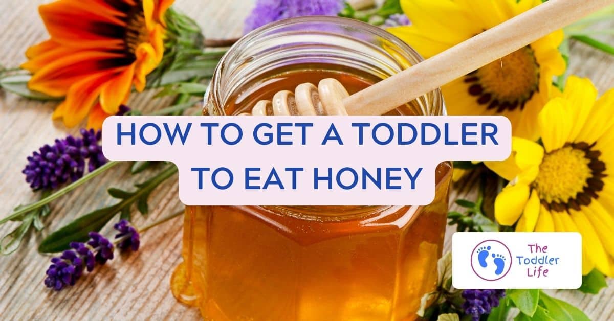 honeypot