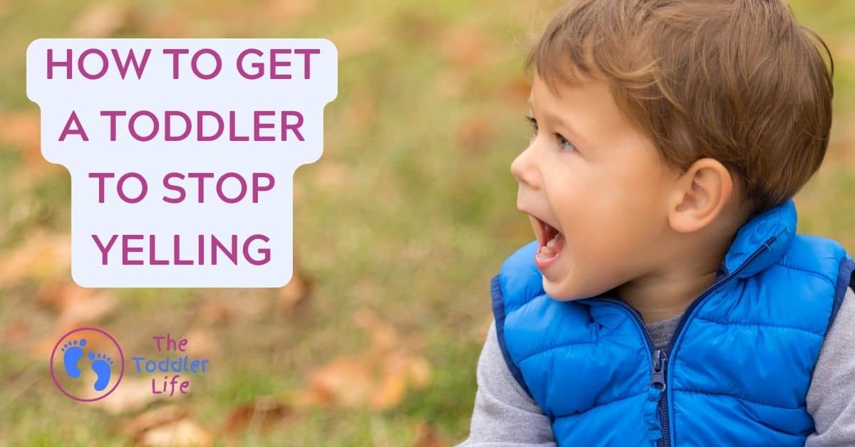 toddler screaming