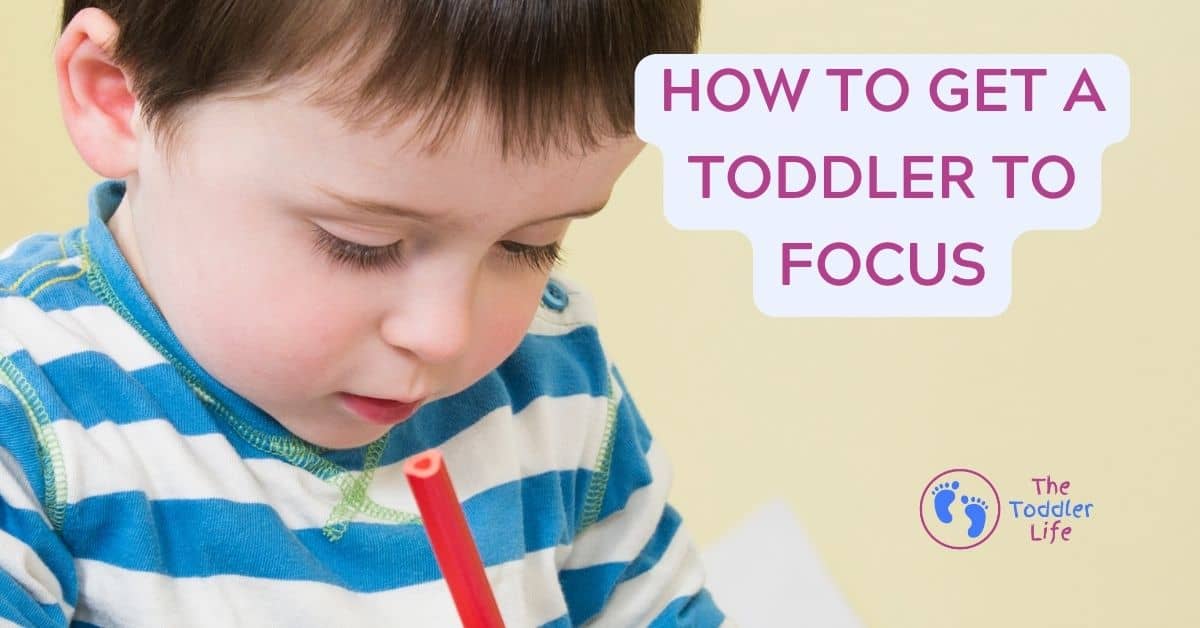 How To Get A Toddler To Focus Tips And Tricks For Parents The How To Get A Toddler To Focus Tips And Tricks For Parents The