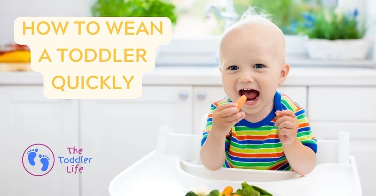 toddler in high chair eating
